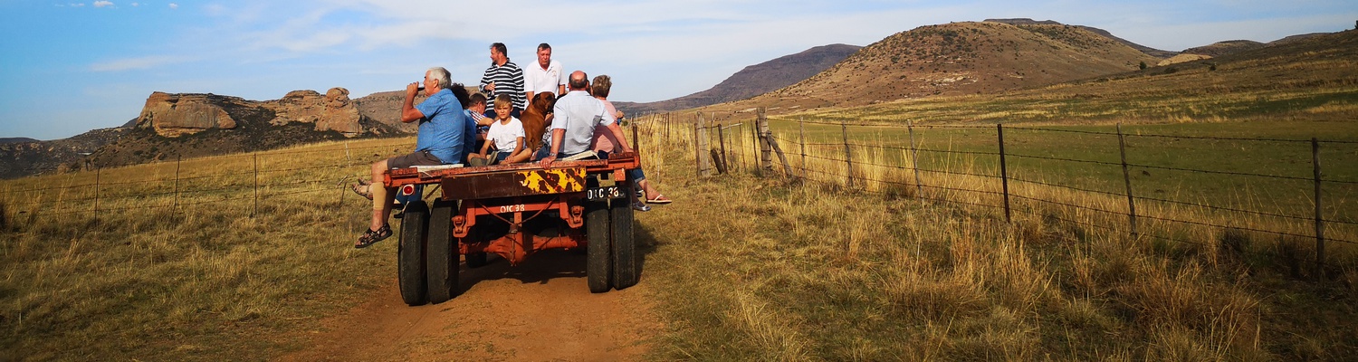 Guests enjoy a sundowner trip up the mountain on a tractor and trailor 